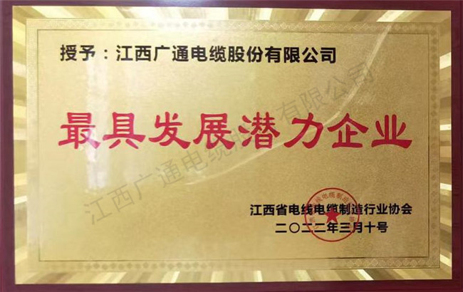 最具發展潛力企業